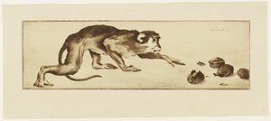 Monkey and Chestnuts, 19th Century